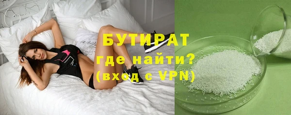 сатива Бородино