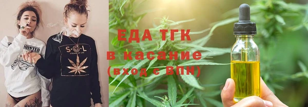 сатива Бородино