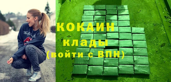 сатива Бородино