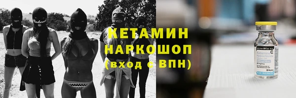 сатива Бородино