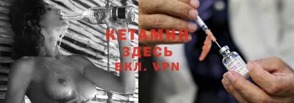 сатива Бородино
