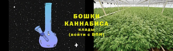 сатива Бородино