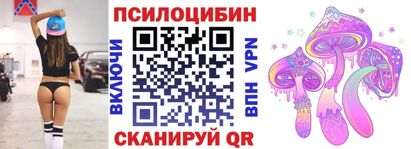 Псилоцибиновые грибы Psilocybe Купить Николаевск